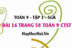 Bài 16 trang 58 Toán 9 tập 1 Chân trời sáng tạo